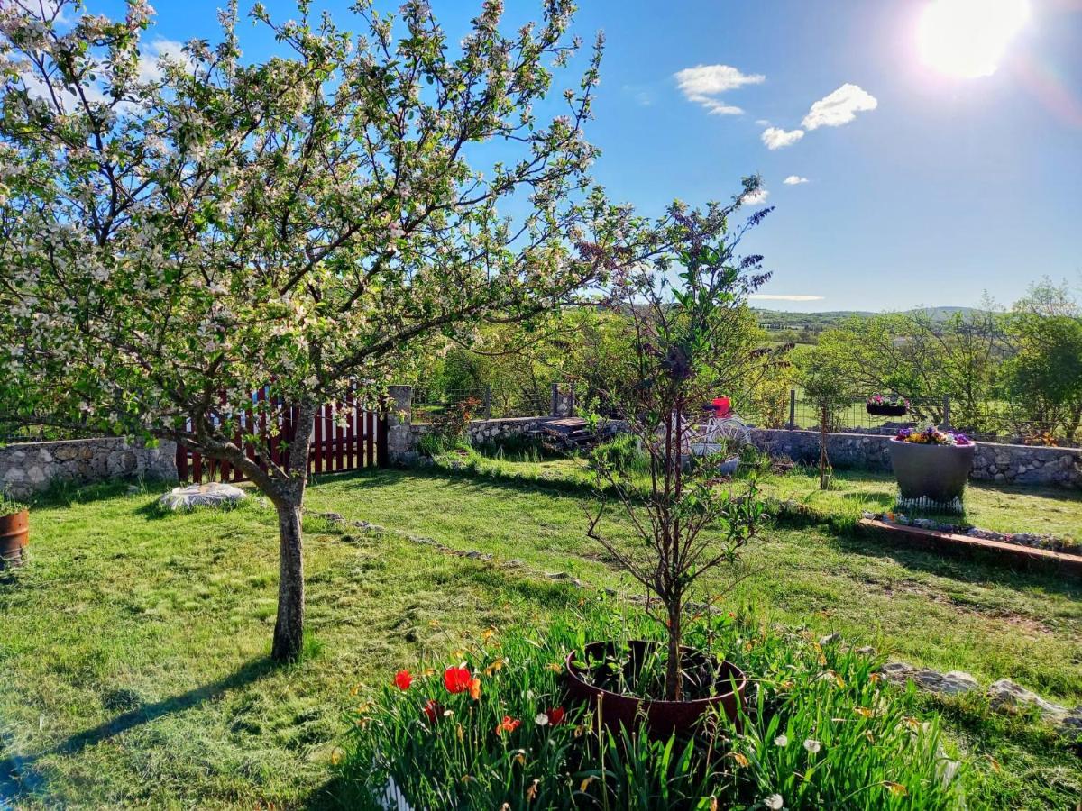 Villa Vikendica Vlahic, Goranci à Mostar Extérieur photo
